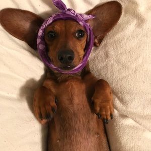 Meet your Posher, Christy